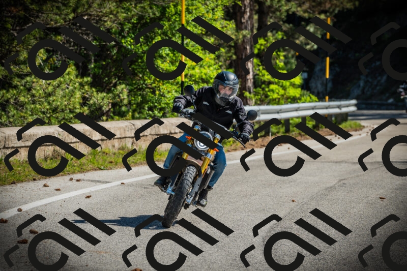 202506021013-DSC02690_c1_