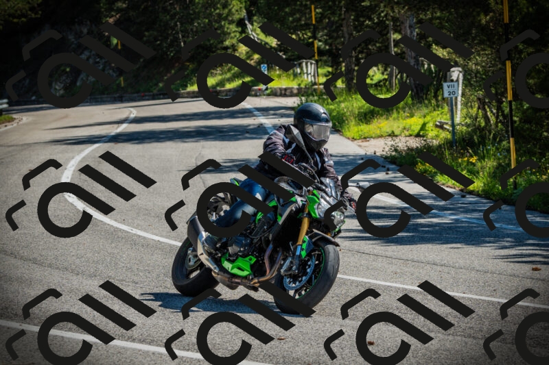 202506021013-DSC02696_c1_