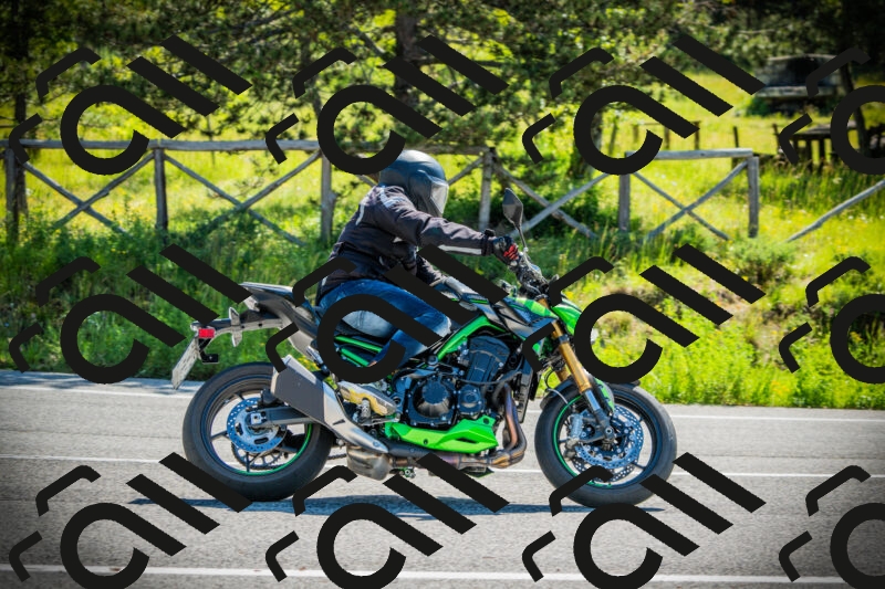 202506021013-DSC02697_c1_