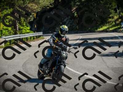 202506021014-DSC02705_c1_