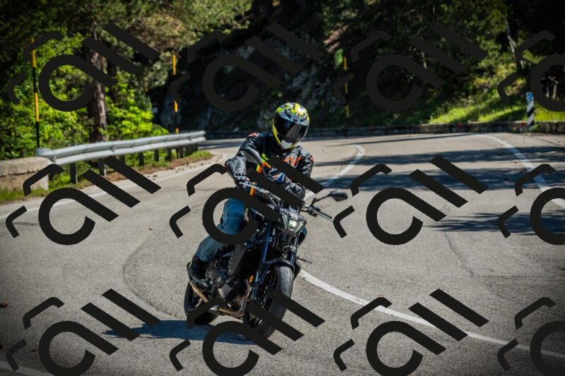 202506021014-DSC02705_c1_