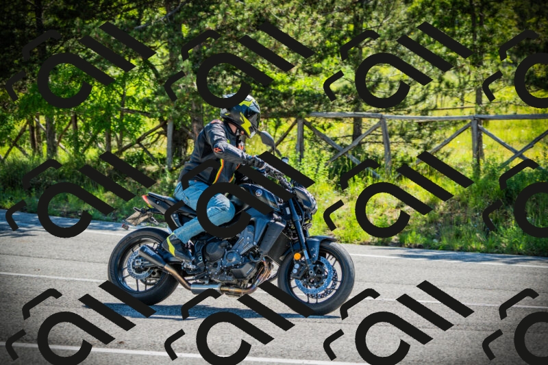 202506021014-DSC02706_c1_