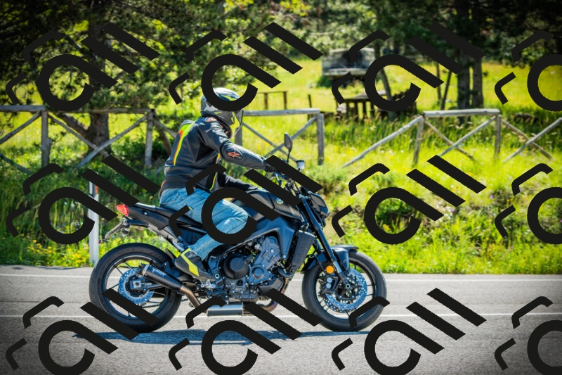 202506021014-DSC02707_c1_