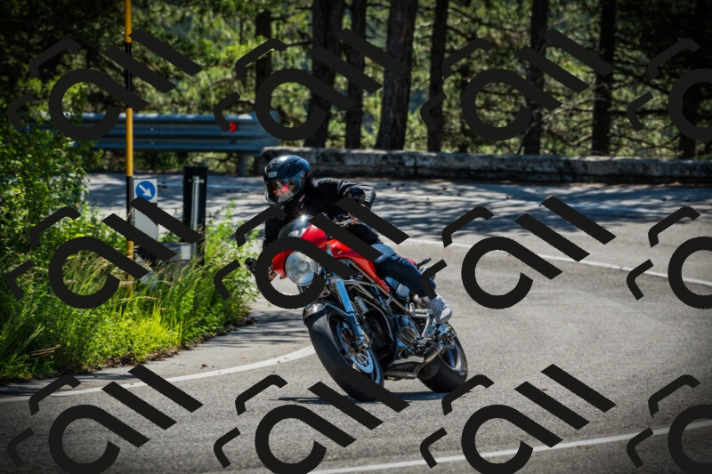 202506021015-DSC02710_c1_