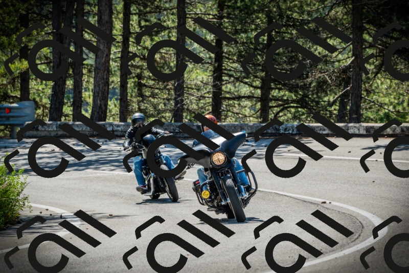 202506021016-DSC02715_c1_