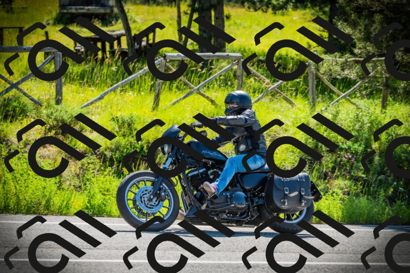 202506021016-DSC02721_c1_