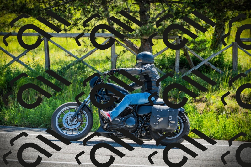 202506021016-DSC02722_c1_