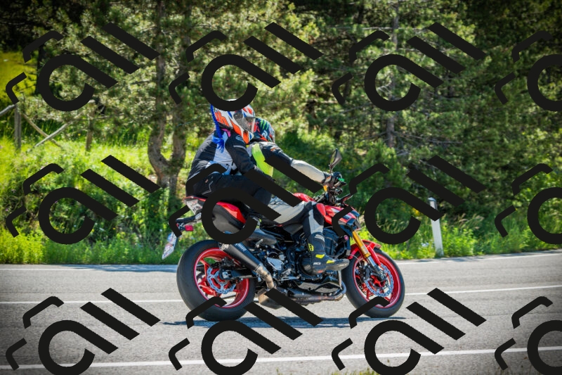 202506021016-DSC02729_c1_