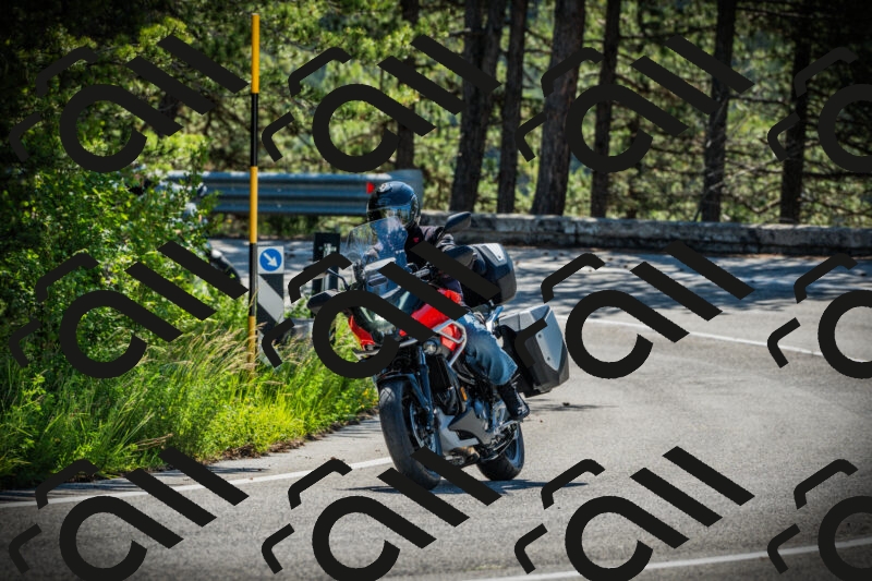 202506021018-DSC02737_c1_