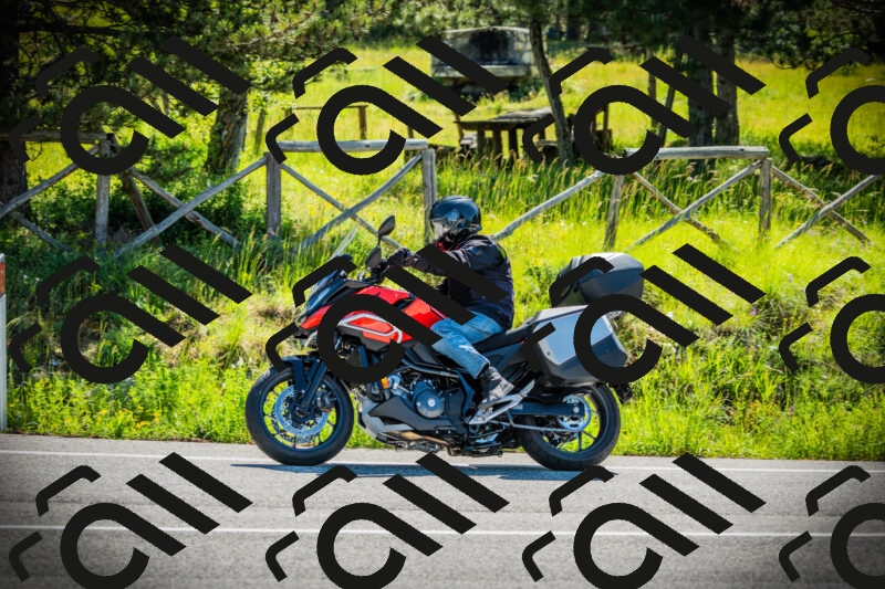 202506021018-DSC02738_c1_