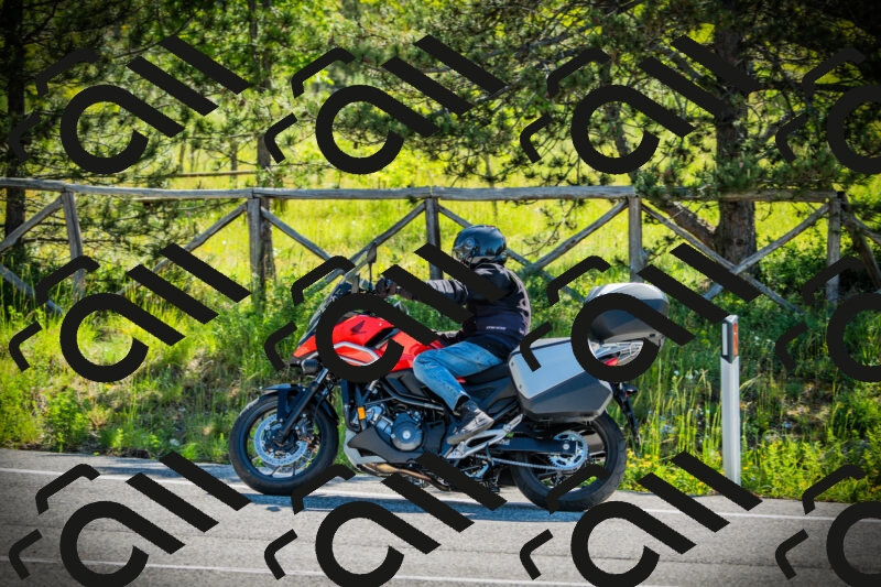 202506021018-DSC02739_c1_