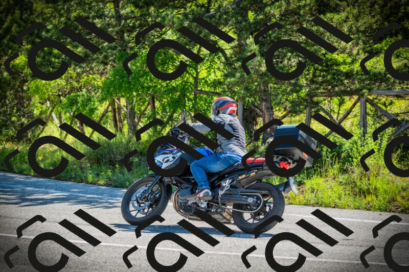 202506021018-DSC02753_c1_