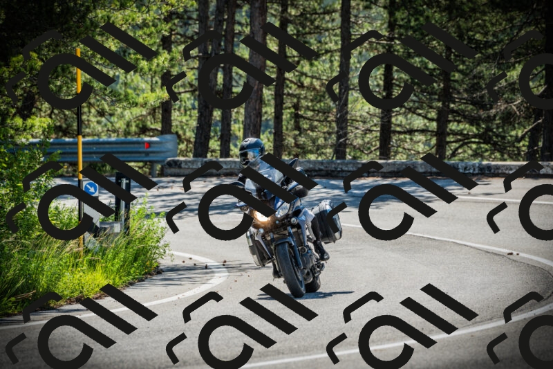 202506021018-DSC02754_c1_