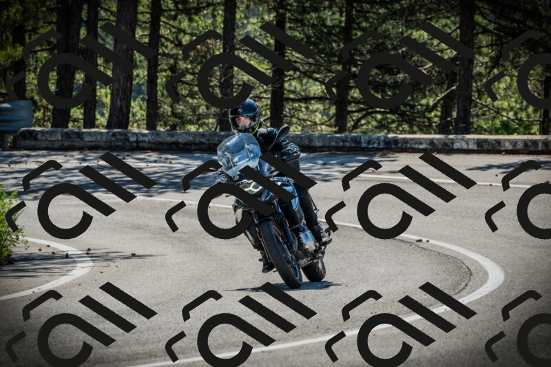 202506021019-DSC02760_c1_