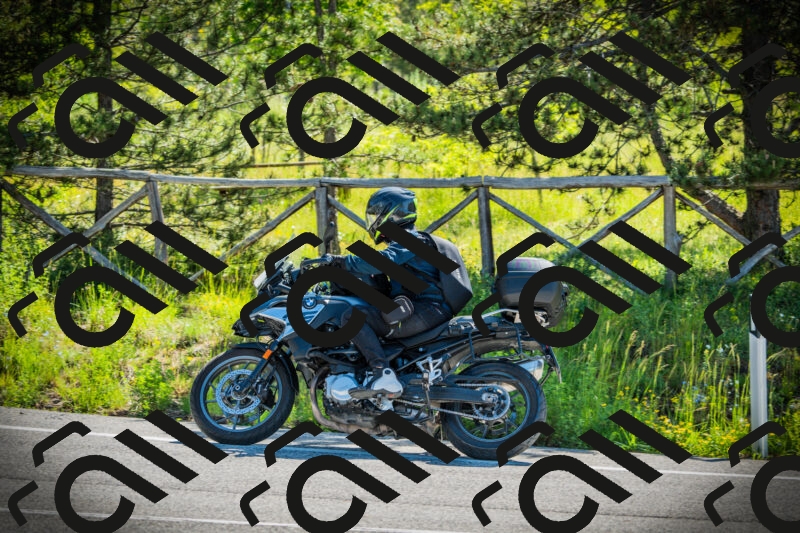 202506021019-DSC02763_c1_