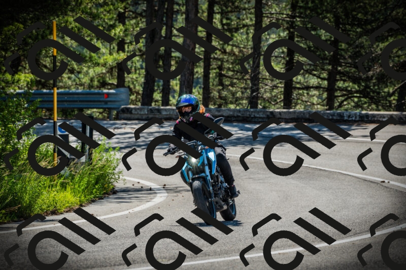 202506021019-DSC02765_c1_