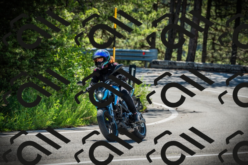 202506021019-DSC02766_c1_