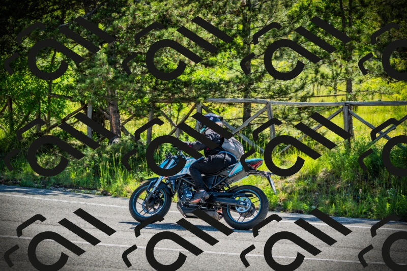 202506021019-DSC02768_c1_