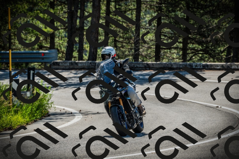 202506021021-DSC02776_c1_