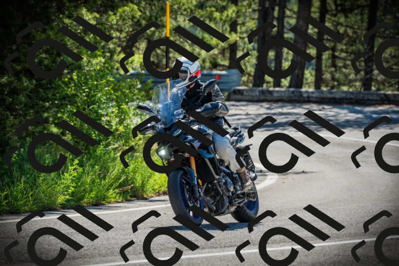 202506021021-DSC02777_c1_