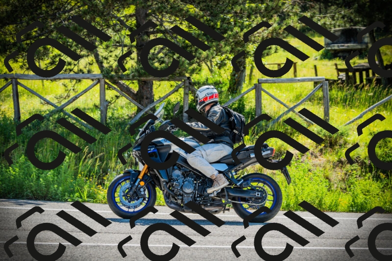 202506021021-DSC02778_c1_