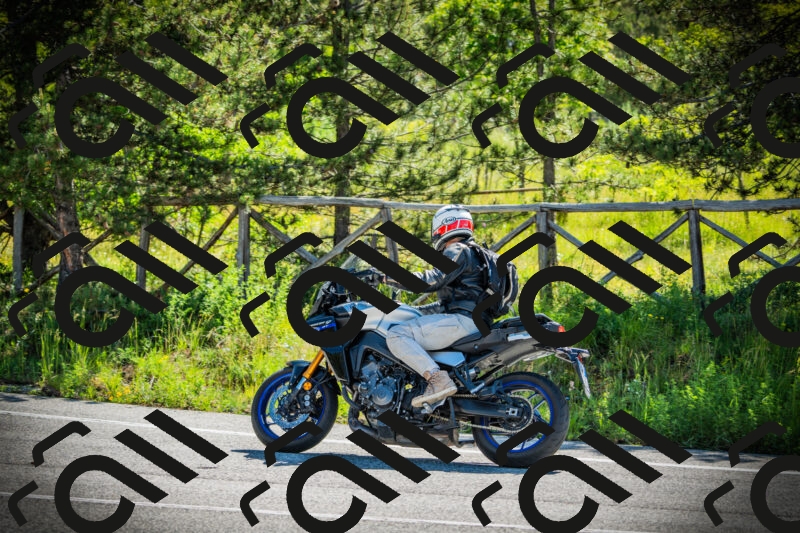 202506021021-DSC02779_c1_