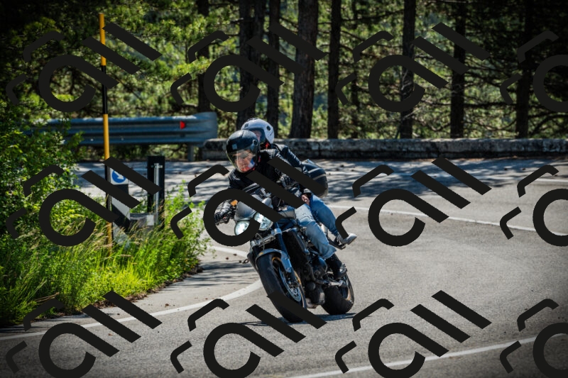 202506021022-DSC02781_c1_