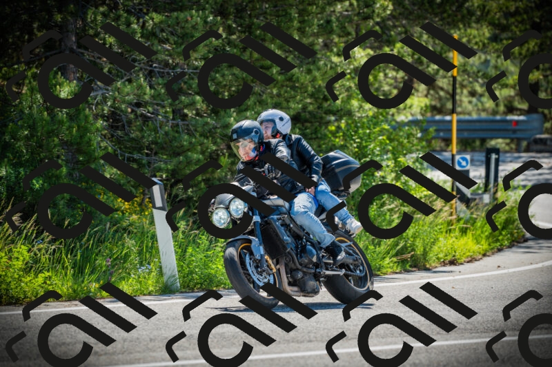 202506021022-DSC02782_c1_