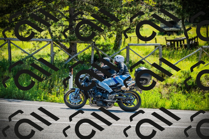 202506021022-DSC02783_c1_