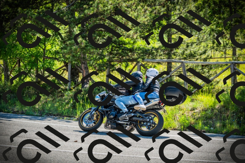 202506021022-DSC02784_c1_