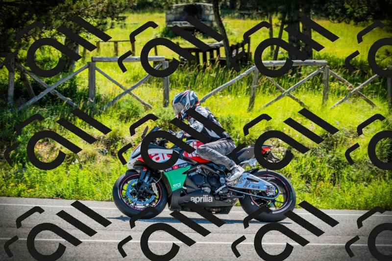 202506021024-DSC02788_c1_