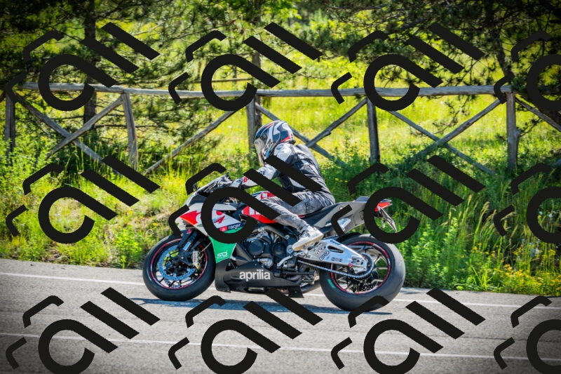 202506021024-DSC02789_c1_