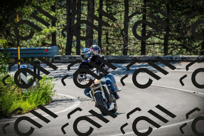 202506021024-DSC02791_c1_