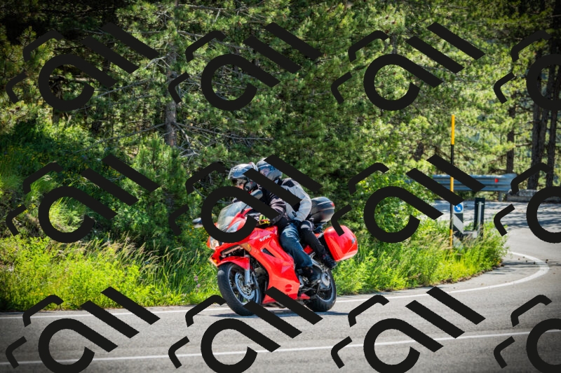 202506021026-DSC02806_c1_