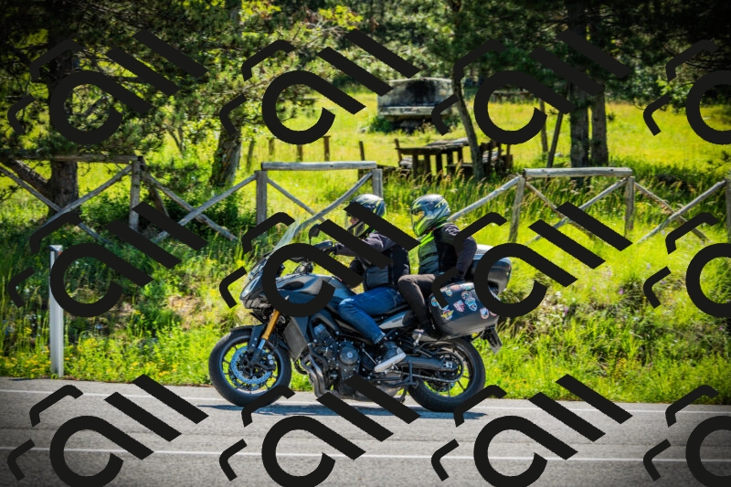 202506021026-DSC02809_c1_