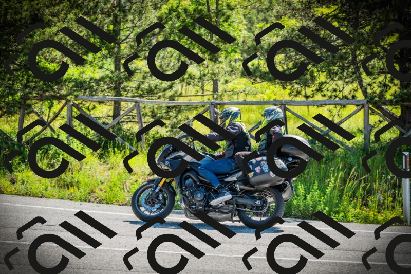 202506021026-DSC02810_c1_