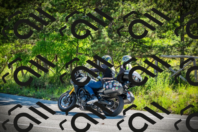 202506021026-DSC02811_c1_