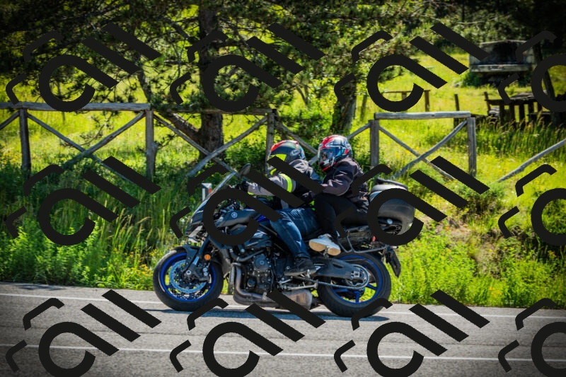 202506021027-DSC02817_c1_