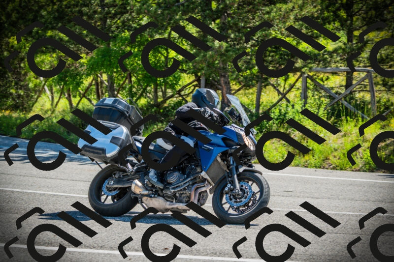 202506021027-DSC02821_c1_