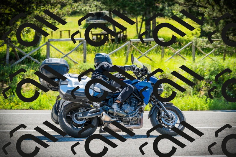 202506021027-DSC02822_c1_