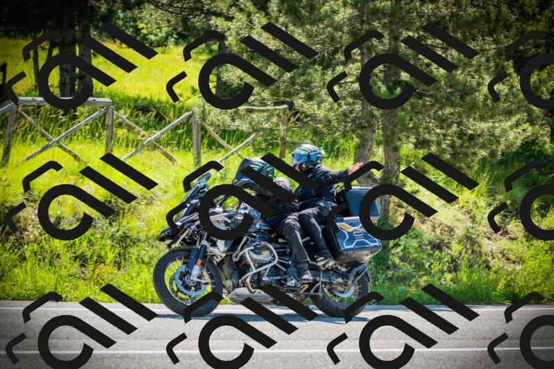 202506021029-DSC02826_c1_