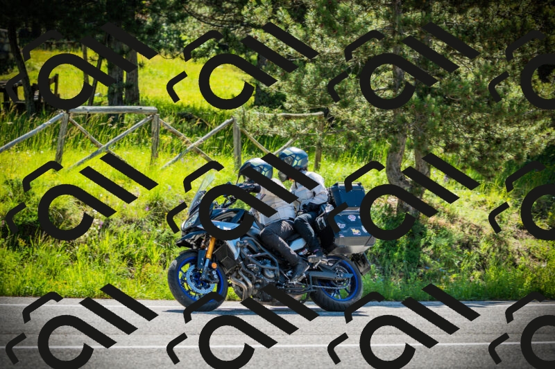 202506021029-DSC02827_c1_