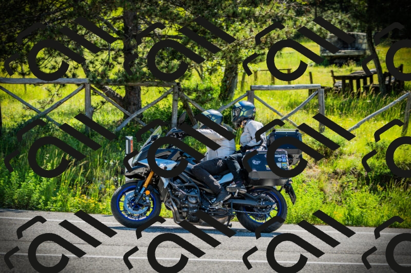 202506021029-DSC02828_c1_