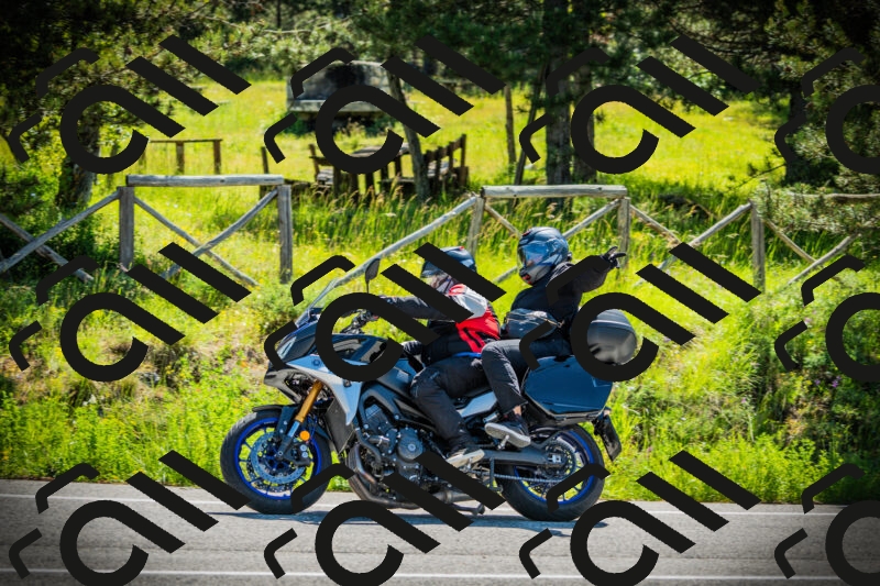 202506021029-DSC02829_c1_