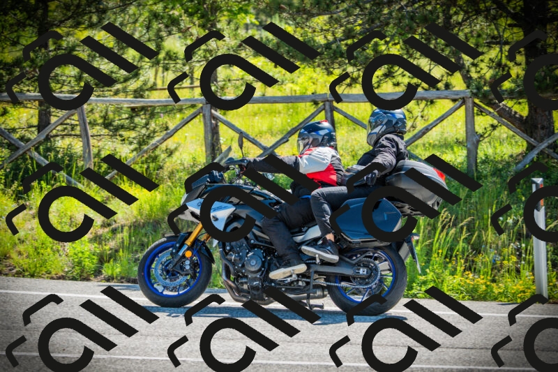 202506021029-DSC02830_c1_