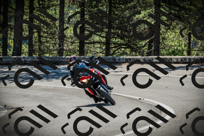 202506021030-DSC02832_c1_