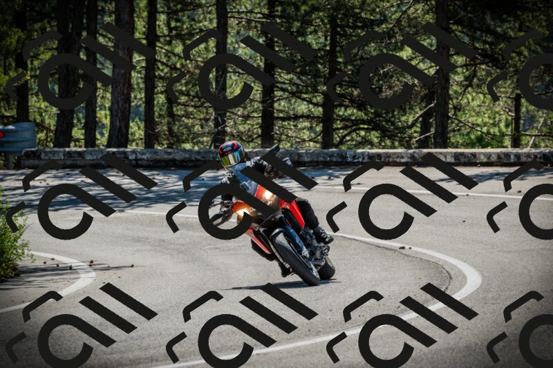 202506021030-DSC02833_c1_