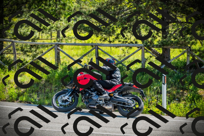 202506021030-DSC02835_c1_