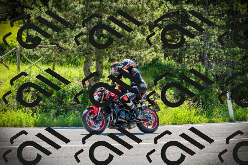 202506021030-DSC02841_c1_