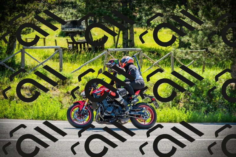 202506021030-DSC02842_c1_